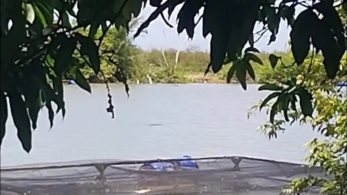 MAD Un pescador