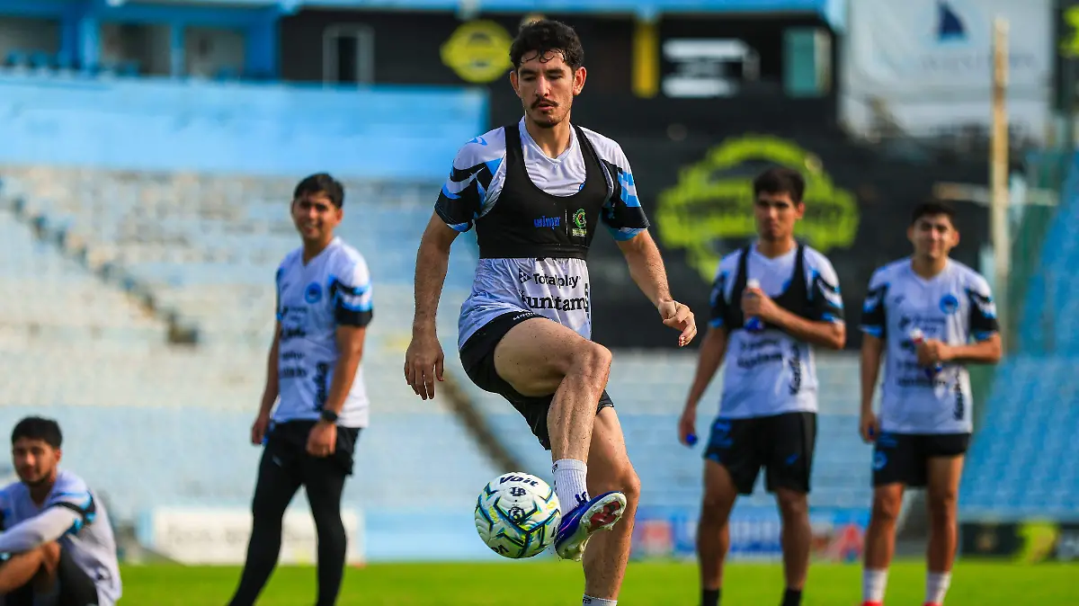 Portada Principal Jaiba