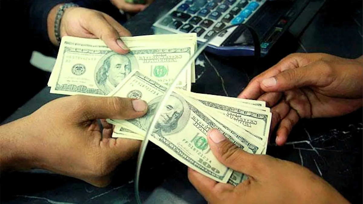 remesas_dólar_francisco_carmona_el_sol_de_leon