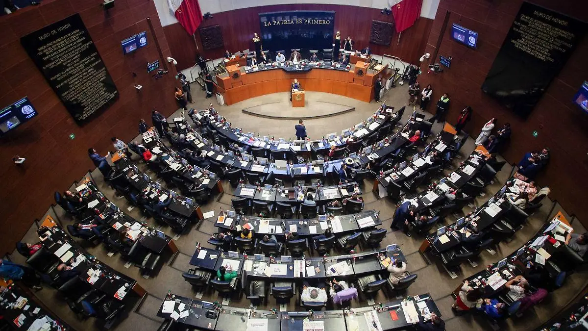 Senado (1)