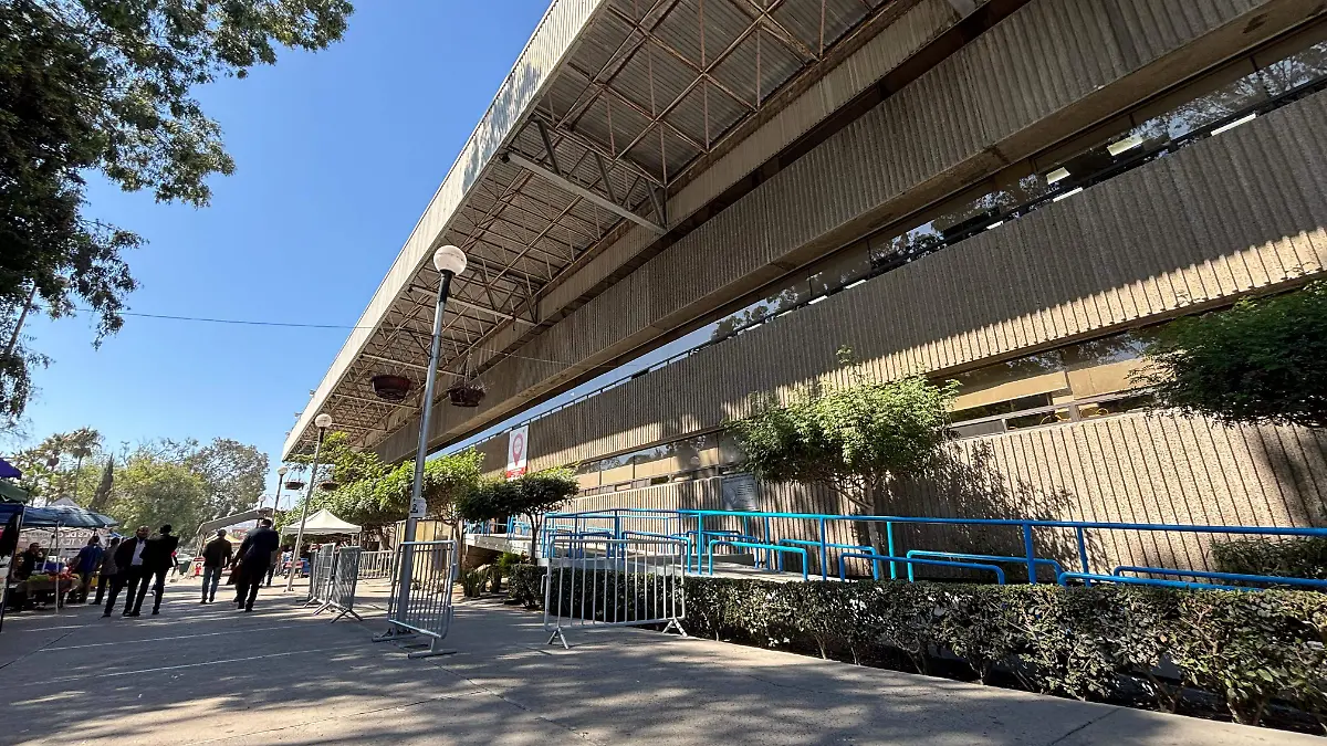 WhatsApp Image 2024-10-24 at 16.16.11