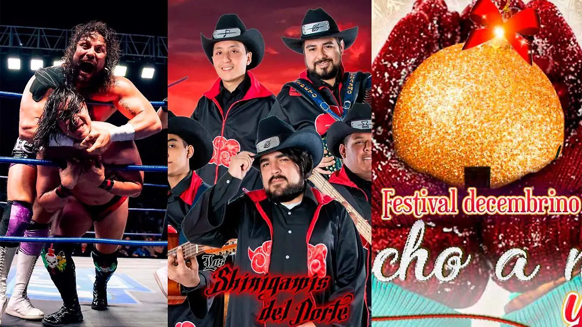 fin de semana 1-3 dic