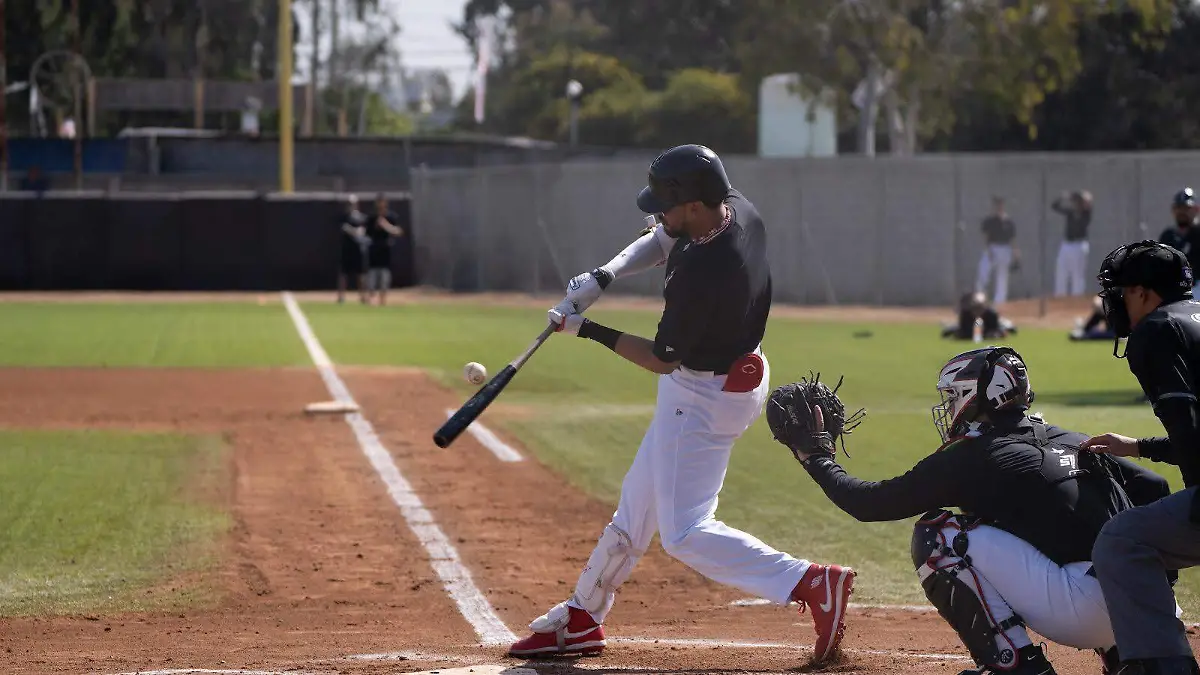 WhatsApp Image 2024-03-09 at 15.21.03 (1)