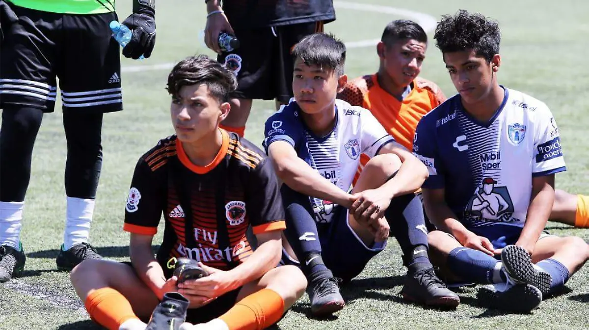 Visorías de fútbol