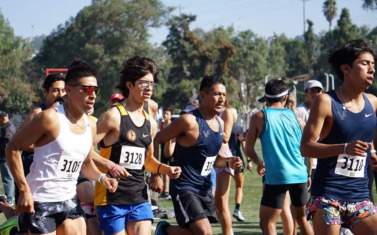 Milla Internacional Tijuana 2024