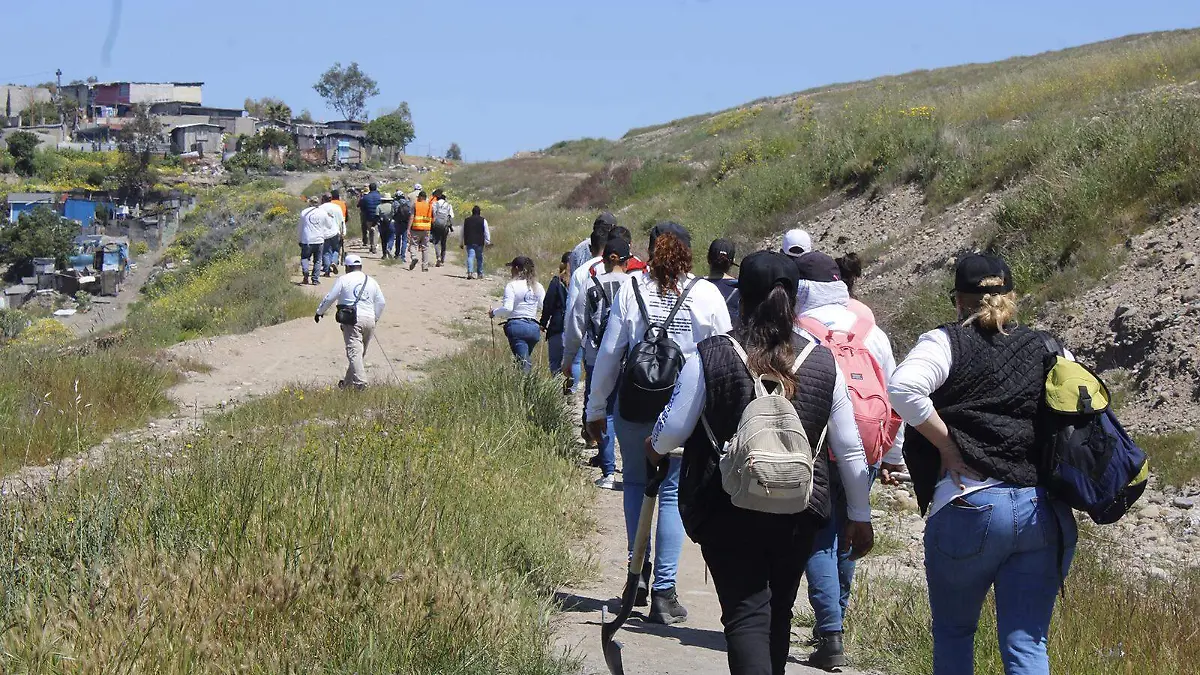 Colectivos-de-busqueda
