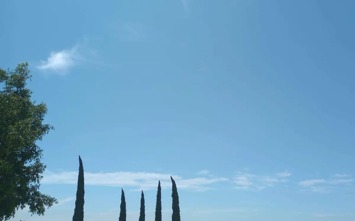 WhatsApp Image 2024-08-05 at 10.57.18 AM