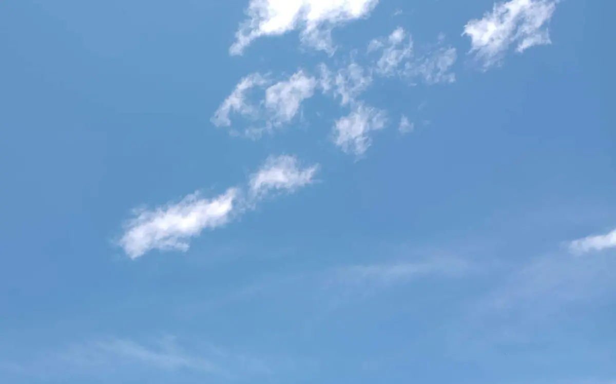 WhatsApp Image 2024-03-18 at 3.37.19 PM (1)