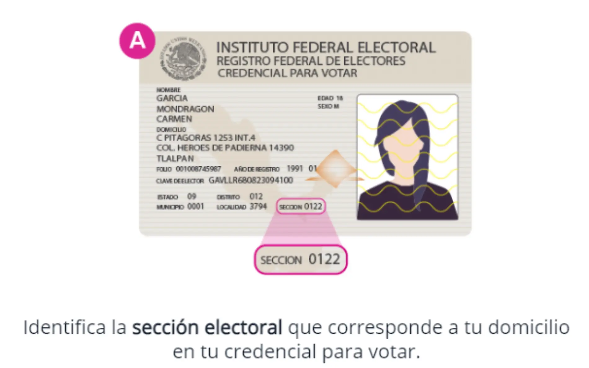 Ubicar "sección" en nuestra INE