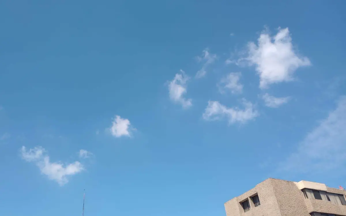 WhatsApp Image 2024-03-06 at 12.15.38 PM