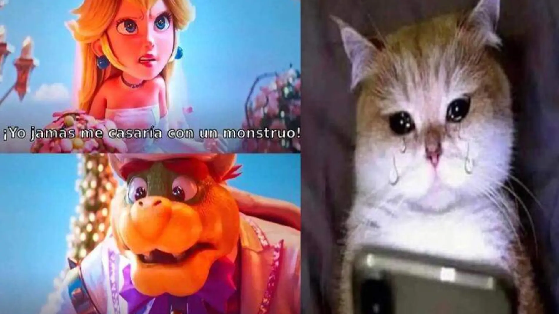 Peach-Bowser