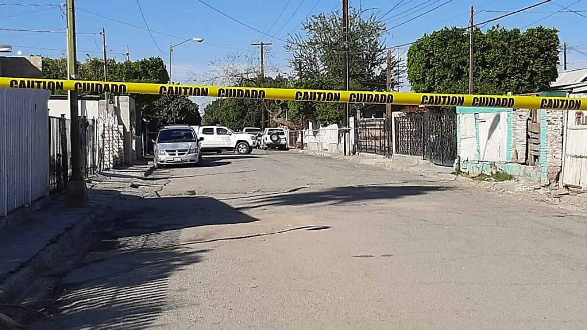 WhatsApp Image 2020-02-18 at 10.17.58 AM