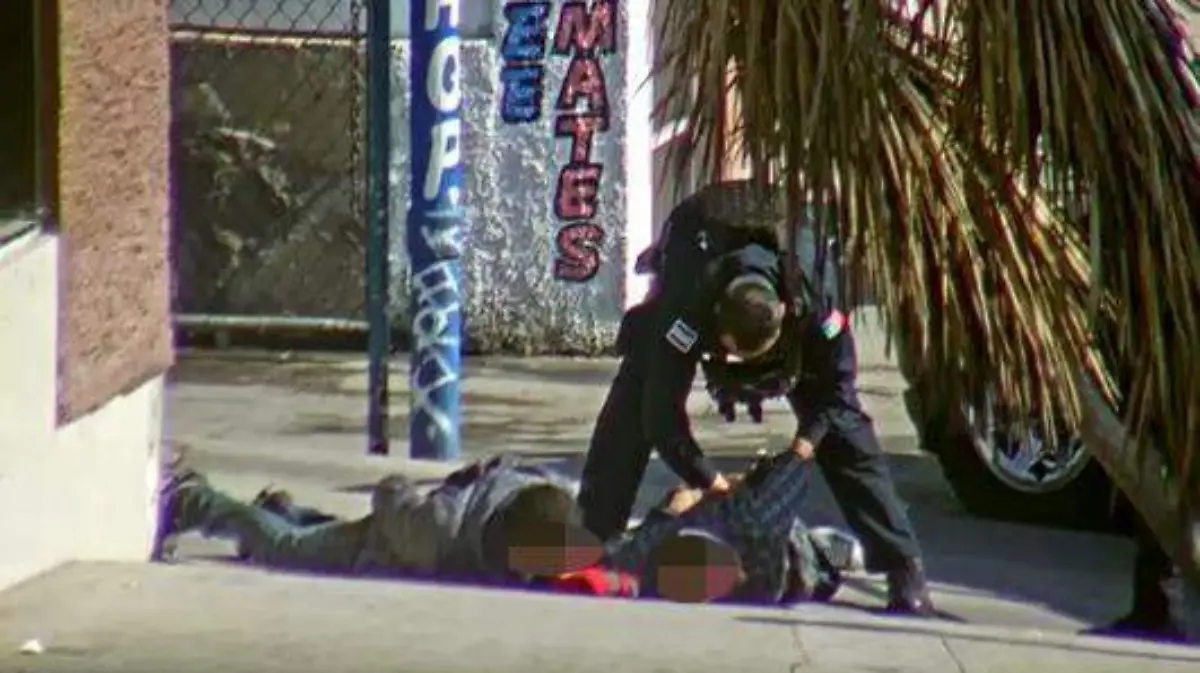 WhatsApp Image 2019-08-07 at 11.22.59 AM