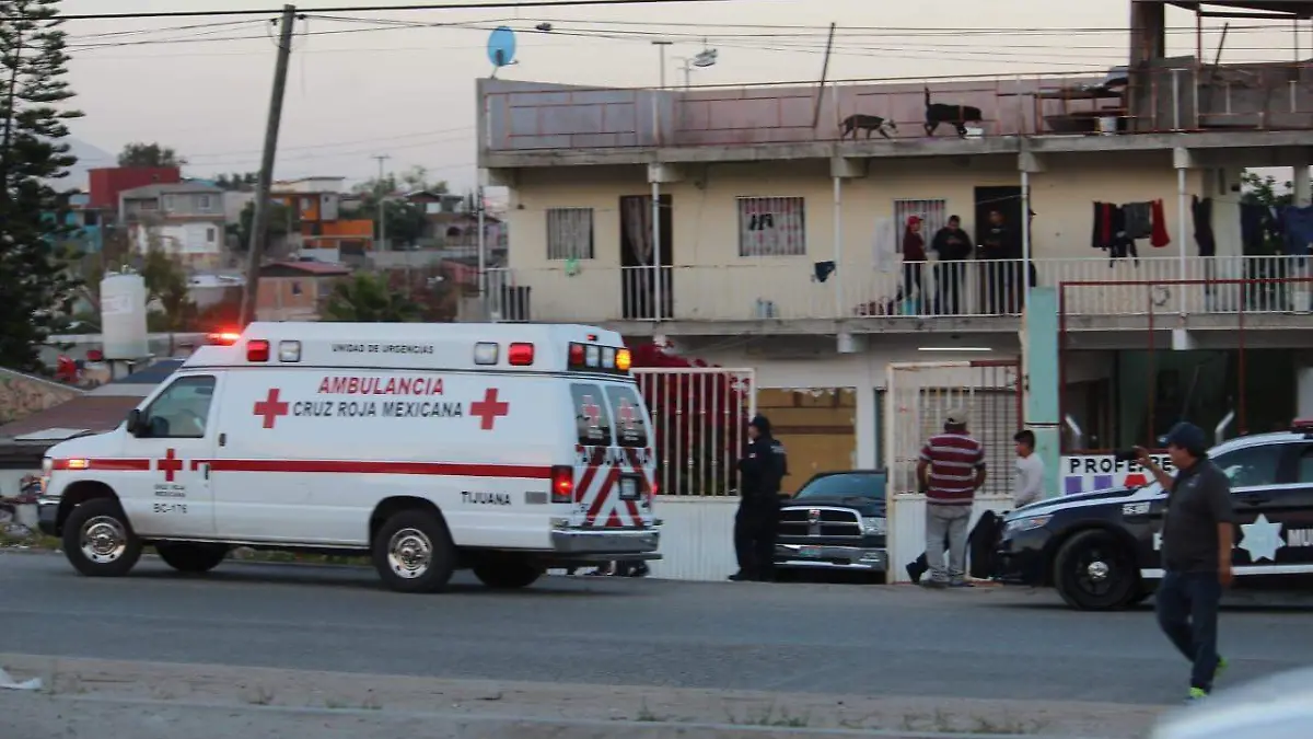 WhatsApp Image 2019-05-02 at 8.57.08 PM