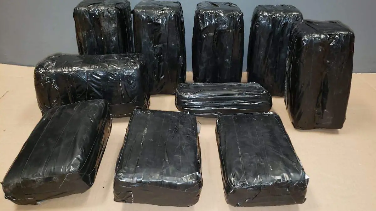 WhatsApp Image 2019-05-09 at 11.10.14 AM