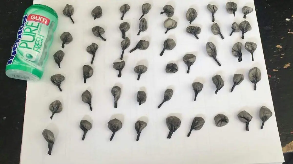 WhatsApp Image 2018-06-30 at 11.31.15 AM