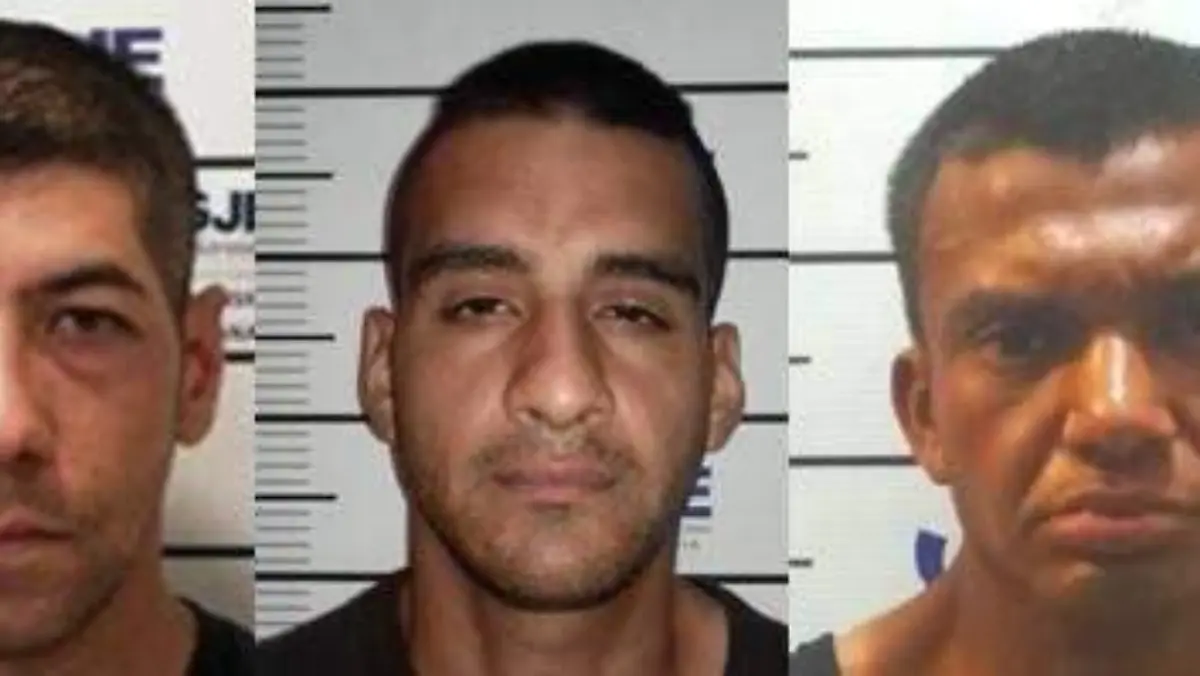 WhatsApp Image 2019-02-27 at 14.21.43