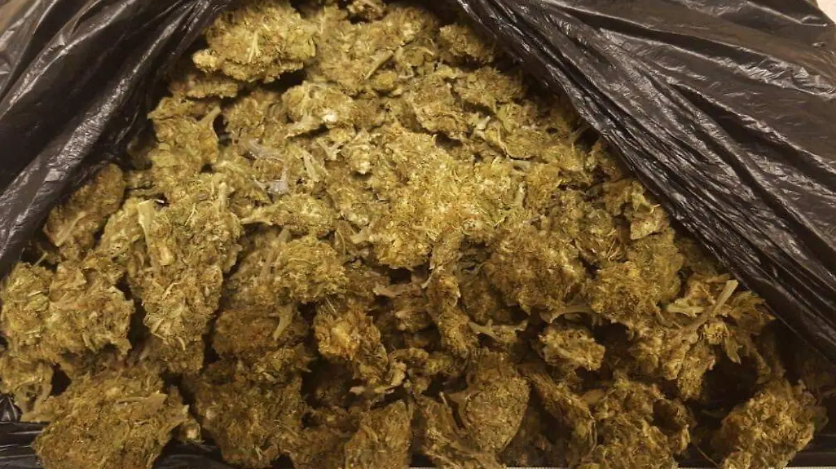 WhatsApp Image 2019-09-26 at 09.39.28