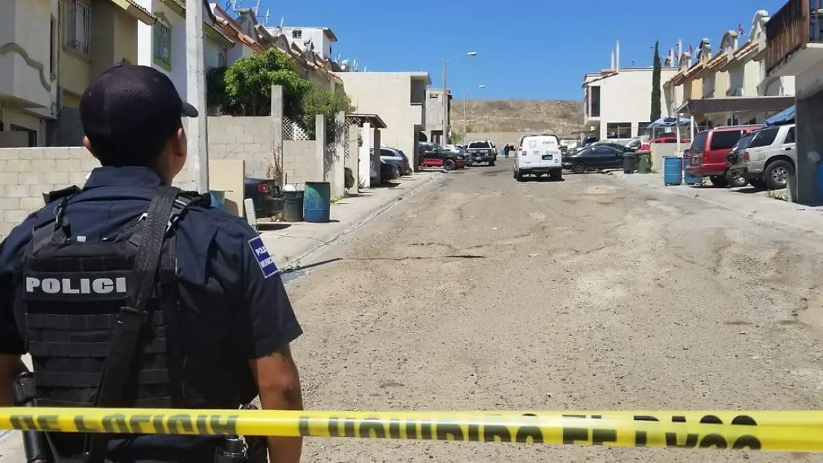 WhatsApp Image 2019-08-08 at 14.37.25