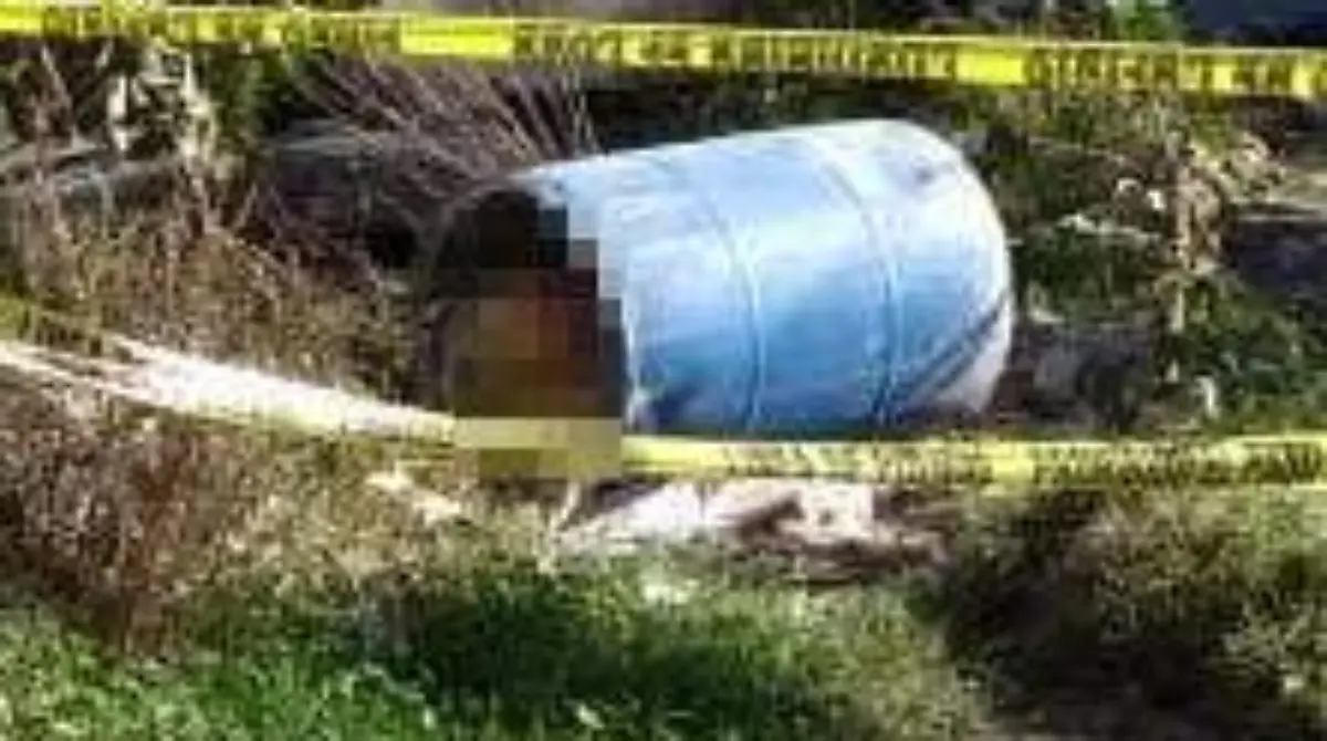 Image 2018-11-02 at 5.49.59 PM