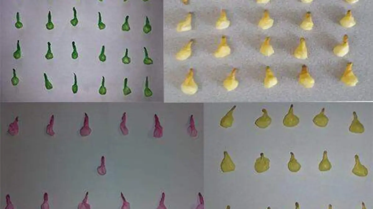 WhatsApp Image 2019-03-16 at 10.07.43 AM