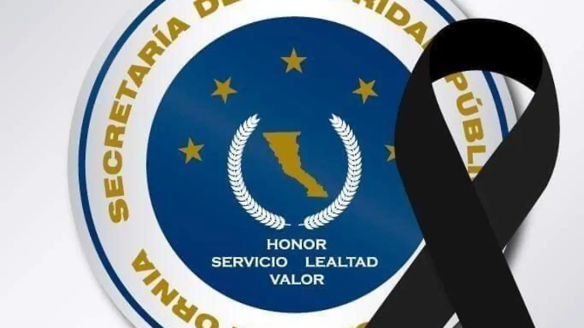 60464353_2248840001828739_8474162812233449472_n