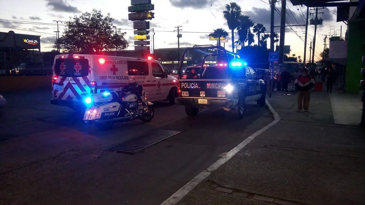 15ac006a-3dc9-44ab-bb15-4862a4051f7e