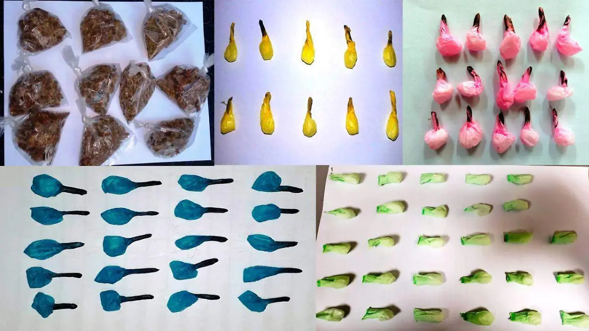 WhatsApp Image 2019-02-16 at 12.05.17