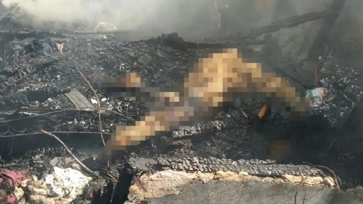 WhatsApp Image 2017-06-20 at 6.53