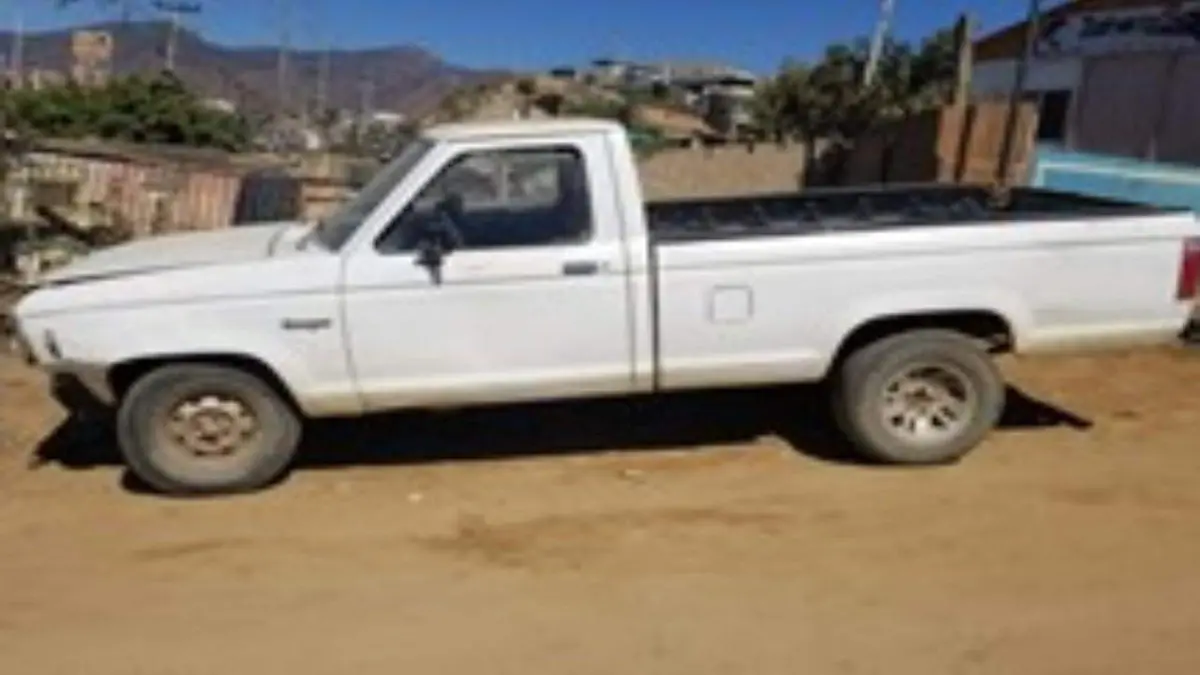 WhatsApp Image 2018-10-22 at 6.05.54 PM