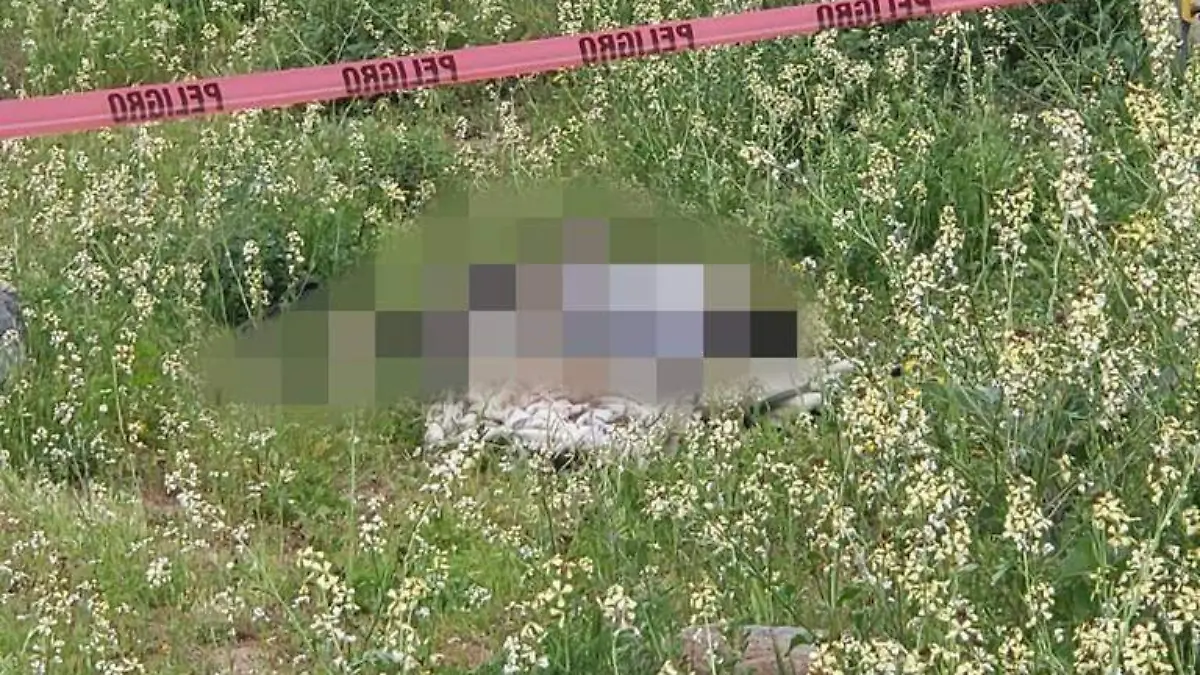 Foto Cortesía Seguridad Ciudadana Tecate