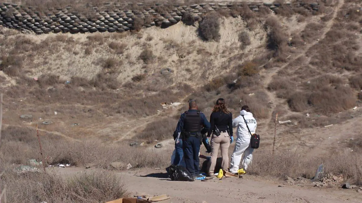 WhatsApp Image 2018-10-31 at 1.51.41 PM