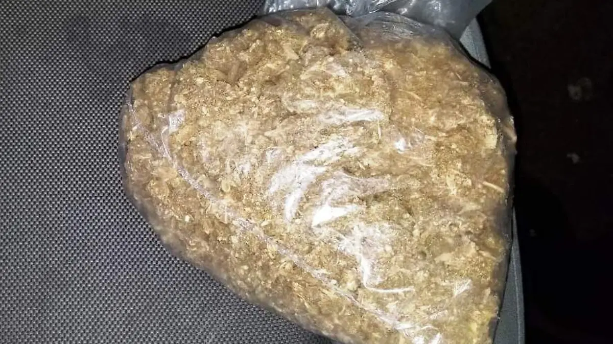 Image 2019-02-12 at 11.48.56 AM (1)