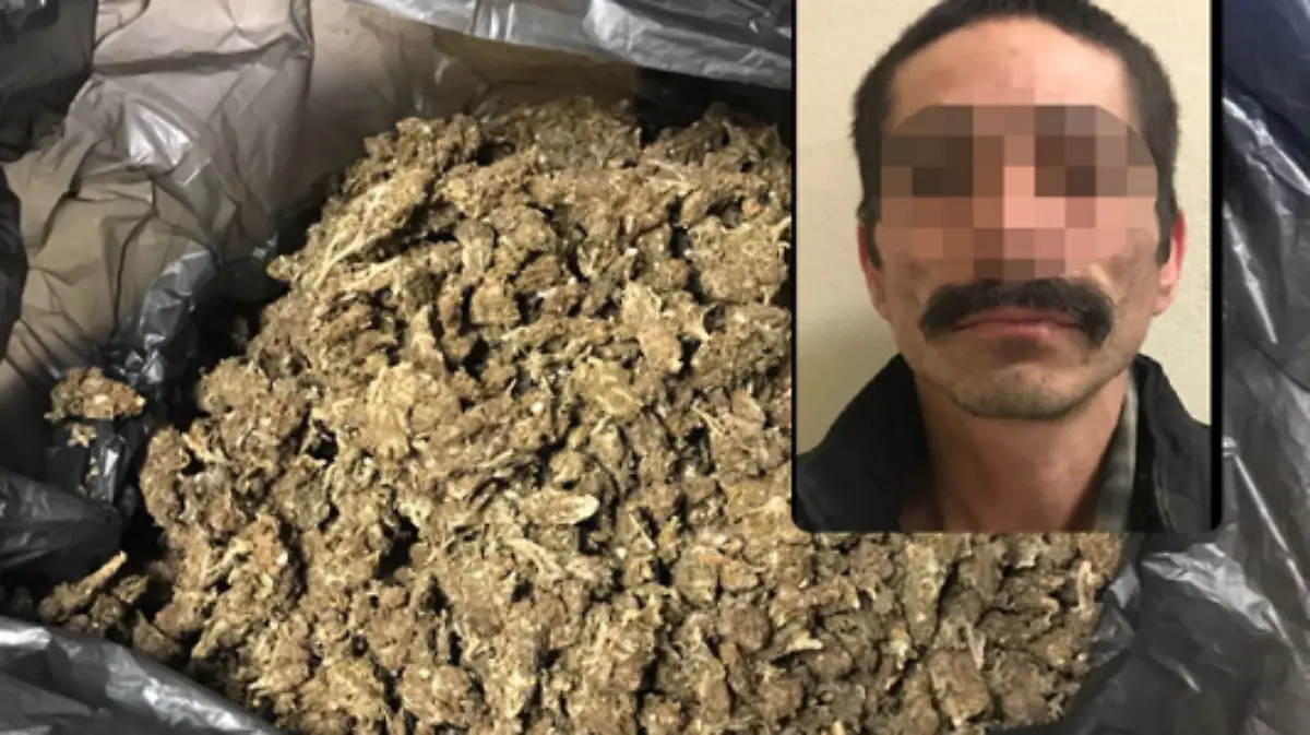Autoridades decomisan marihuana a presunto narcomenudista