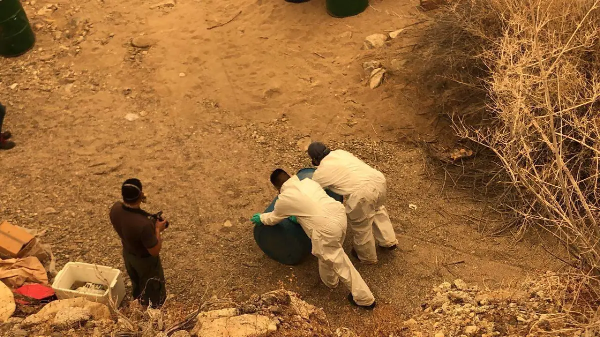 Desmantelan laboratorio clandestino