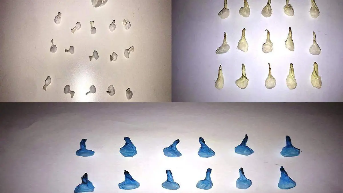 WhatsApp Image 2019-01-03 at 12.20.10 PM