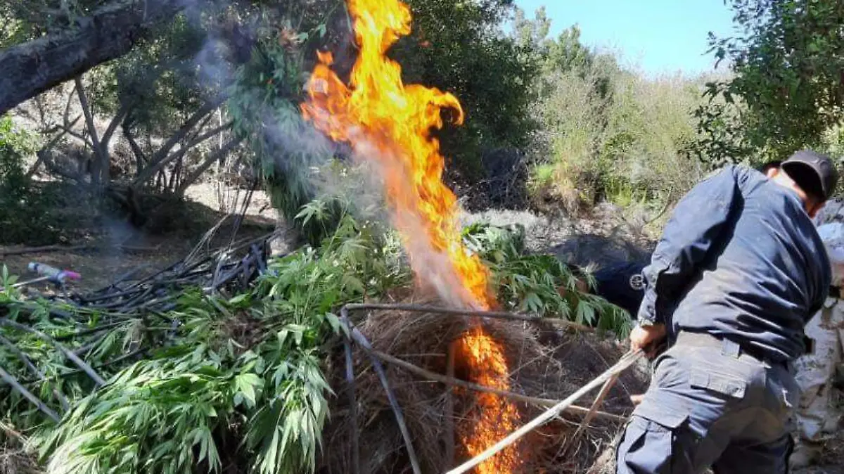 8c6a9edb-6931-4c27-a92e-7f767ebcee2f