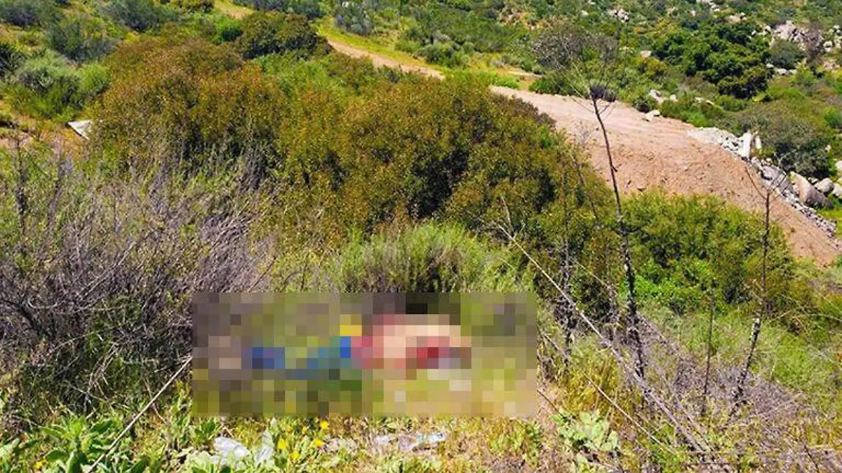 8e16d016-535c-4bb7-adeb-8cff9795a1cf