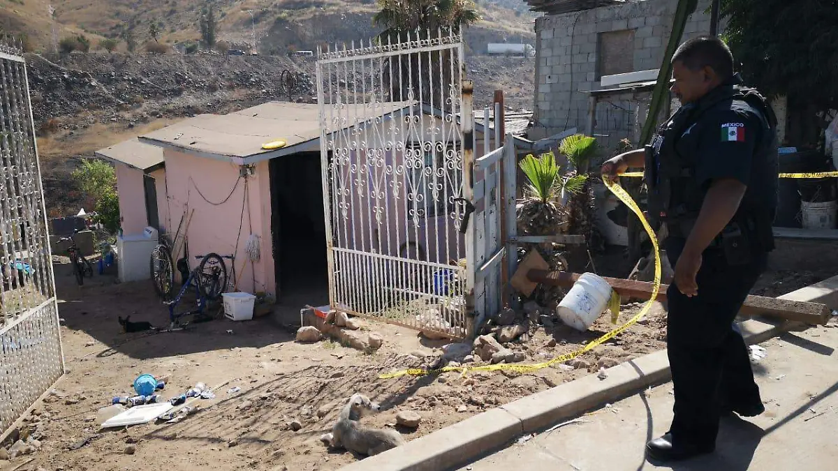 WhatsApp Image 2020-07-17 at 9.55.55 AM