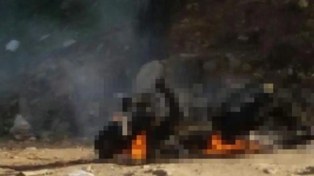 WhatsApp Image 2018-01-27 at 4.11