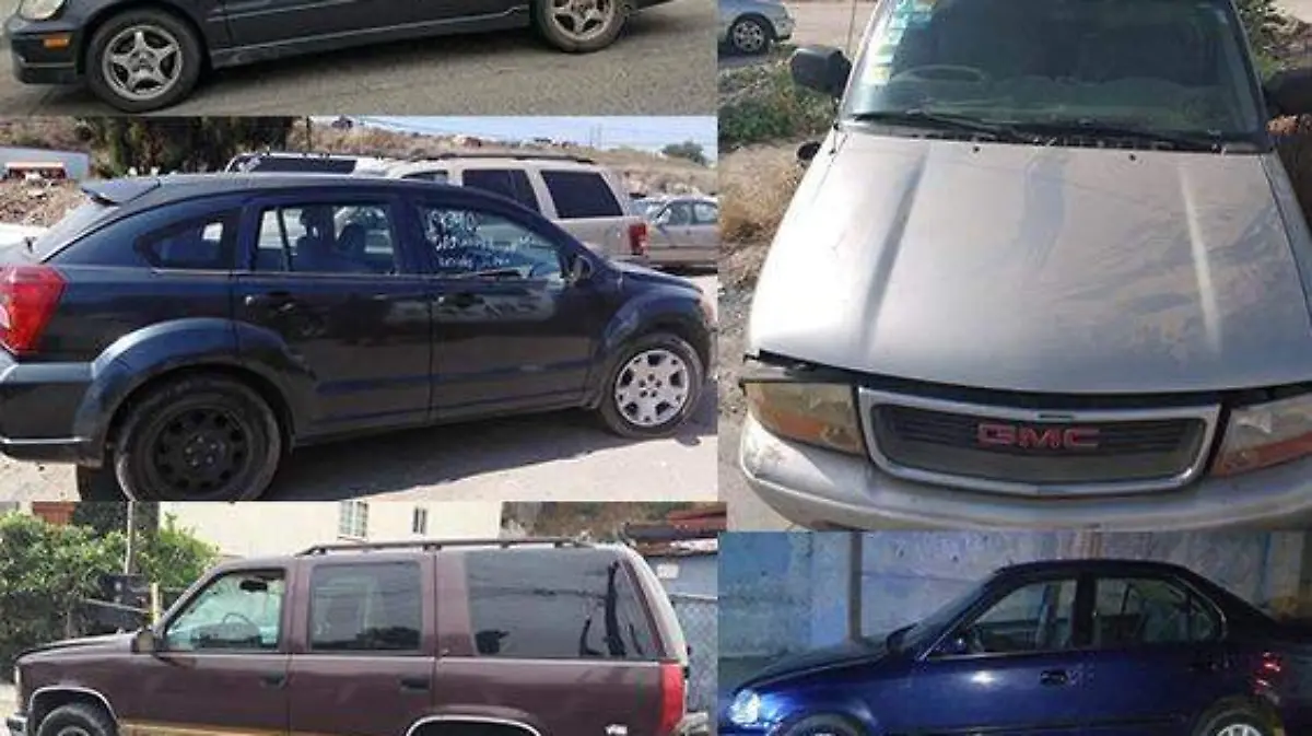 WhatsApp Image 2019-06-06 at 11.19.35 AM