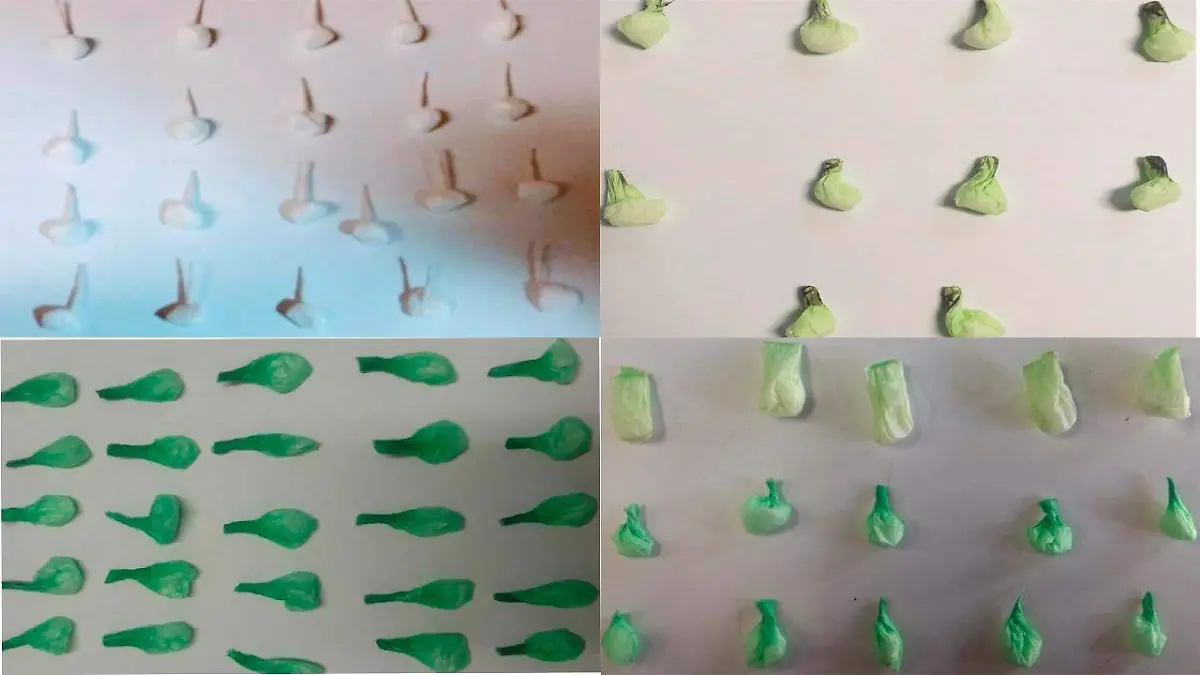 WhatsApp Image 2019-09-22 at 11.59.16 AM