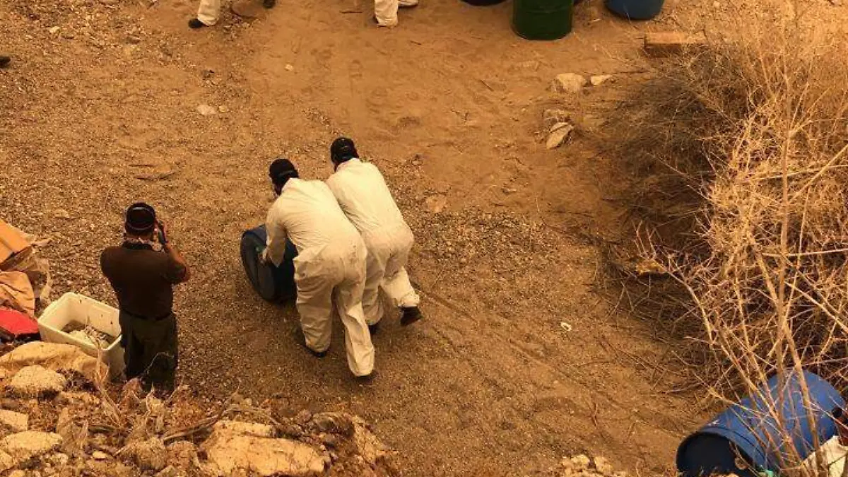 Desmantelan laboratorio clandestino