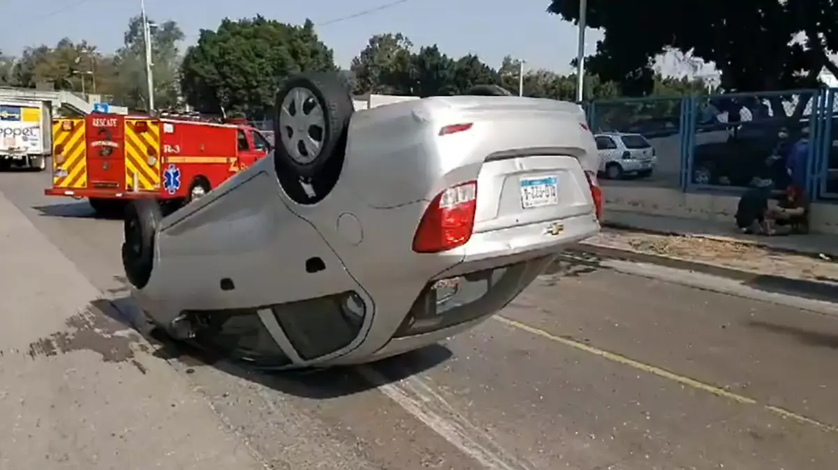 119558458_240327060728467_5084754185925436936_n