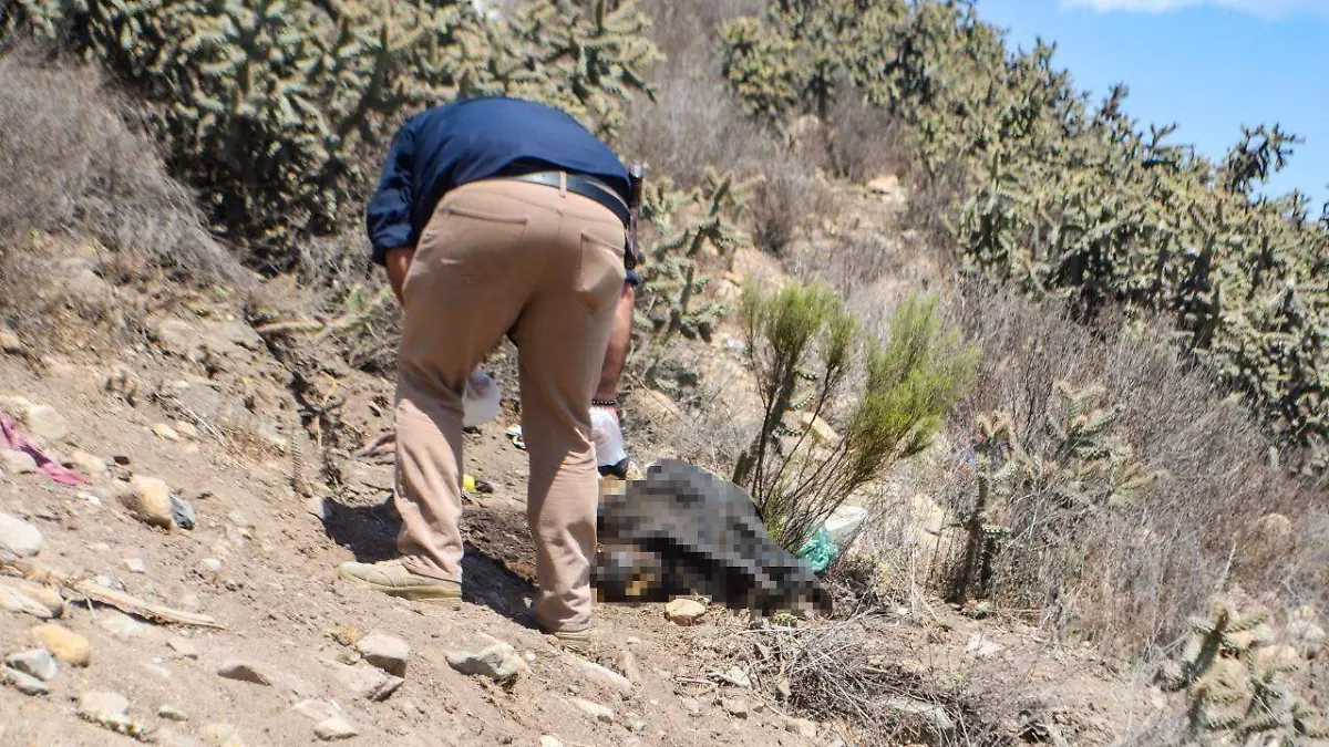 WhatsApp Image 2022-09-02 at 4.08.46 PM (1)