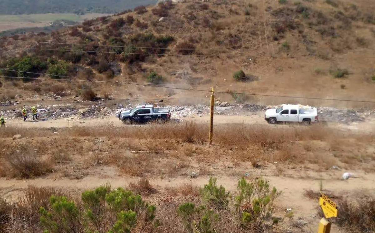 WhatsApp Image 2020-08-27 at 10.51.00 AM