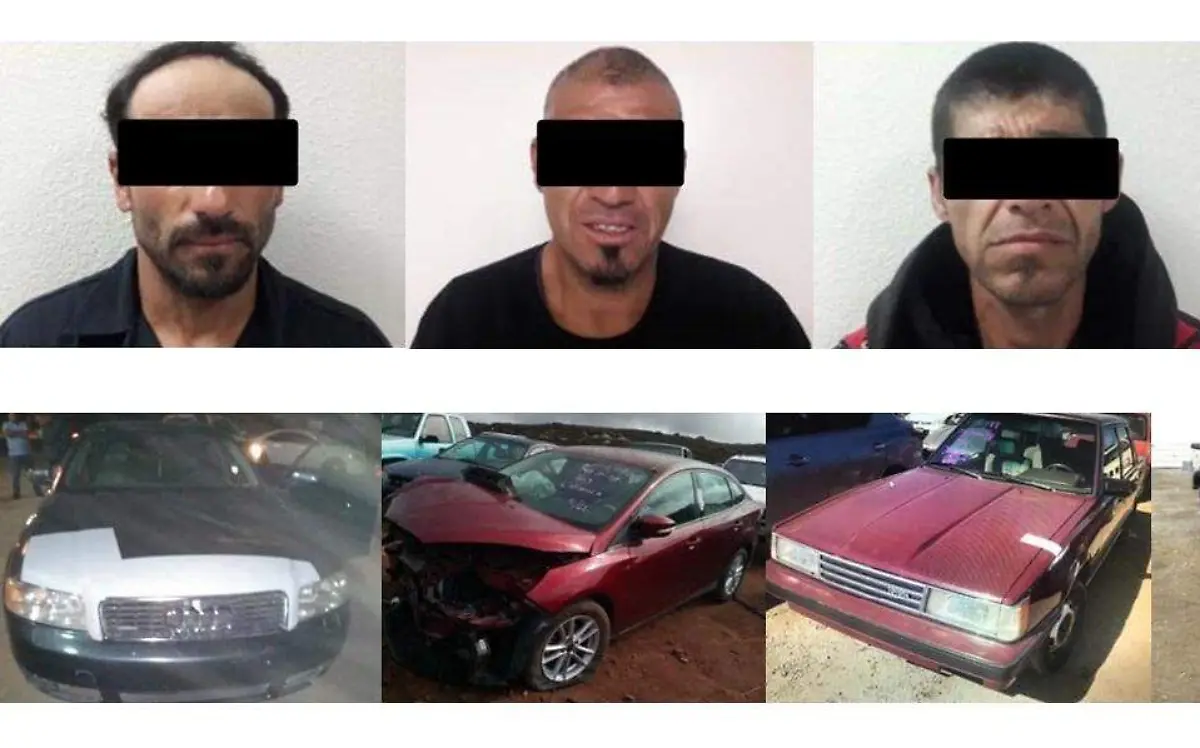 WhatsApp Image 2018-11-30 at 5.33.07 PM (1)