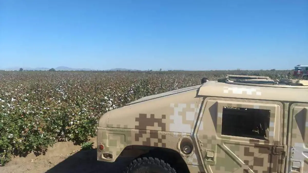 Se desploma avioneta en el valle