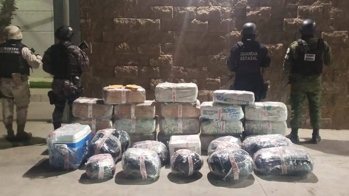 WhatsApp Image 2020-01-09 at 3.47.04 PM (1)