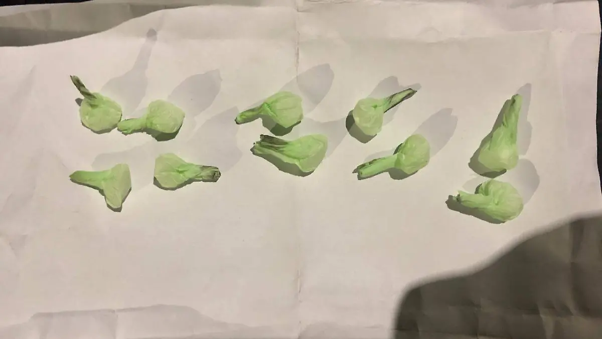 WhatsApp Image 2018-10-07 at 2.08.53 PM